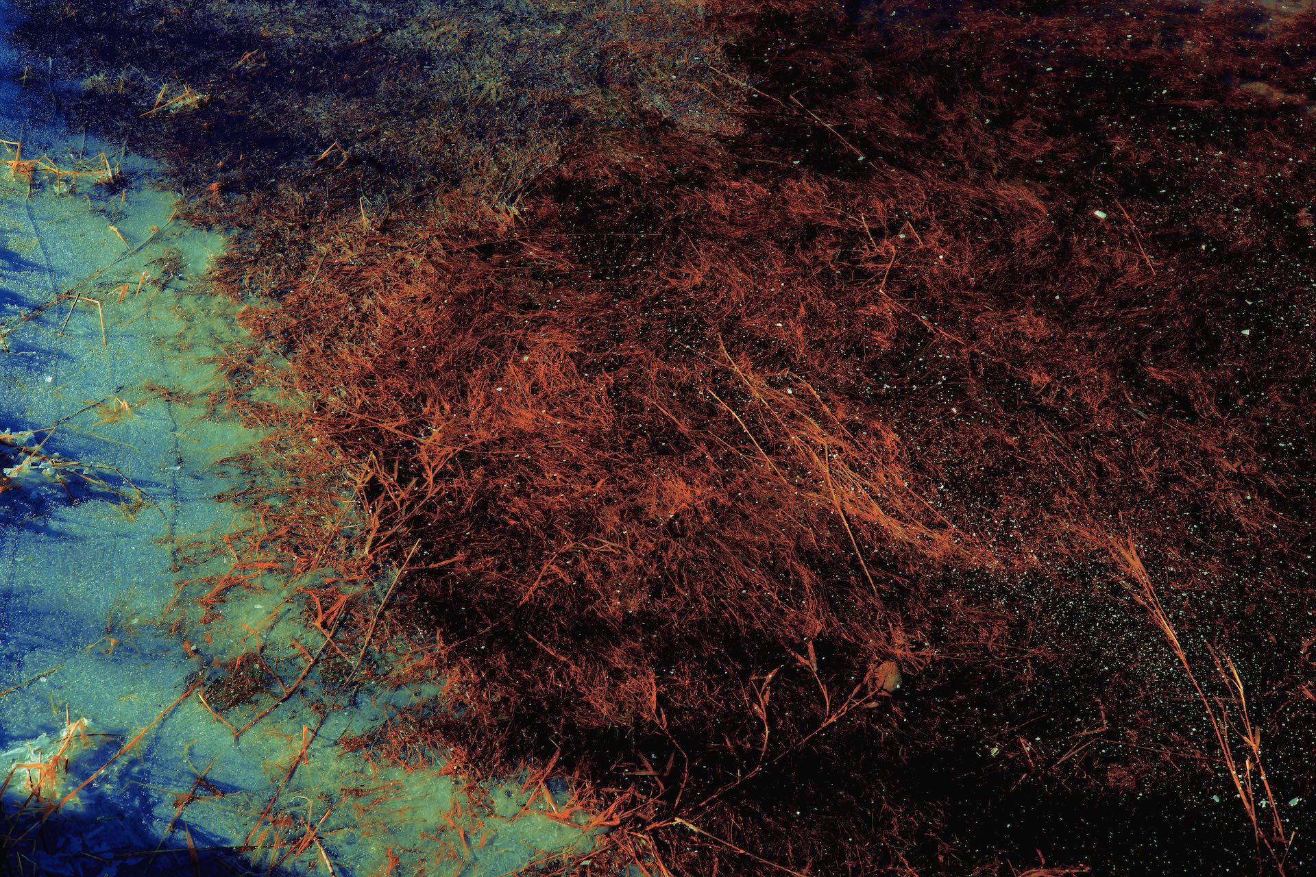 Comme un Ciel étoilé